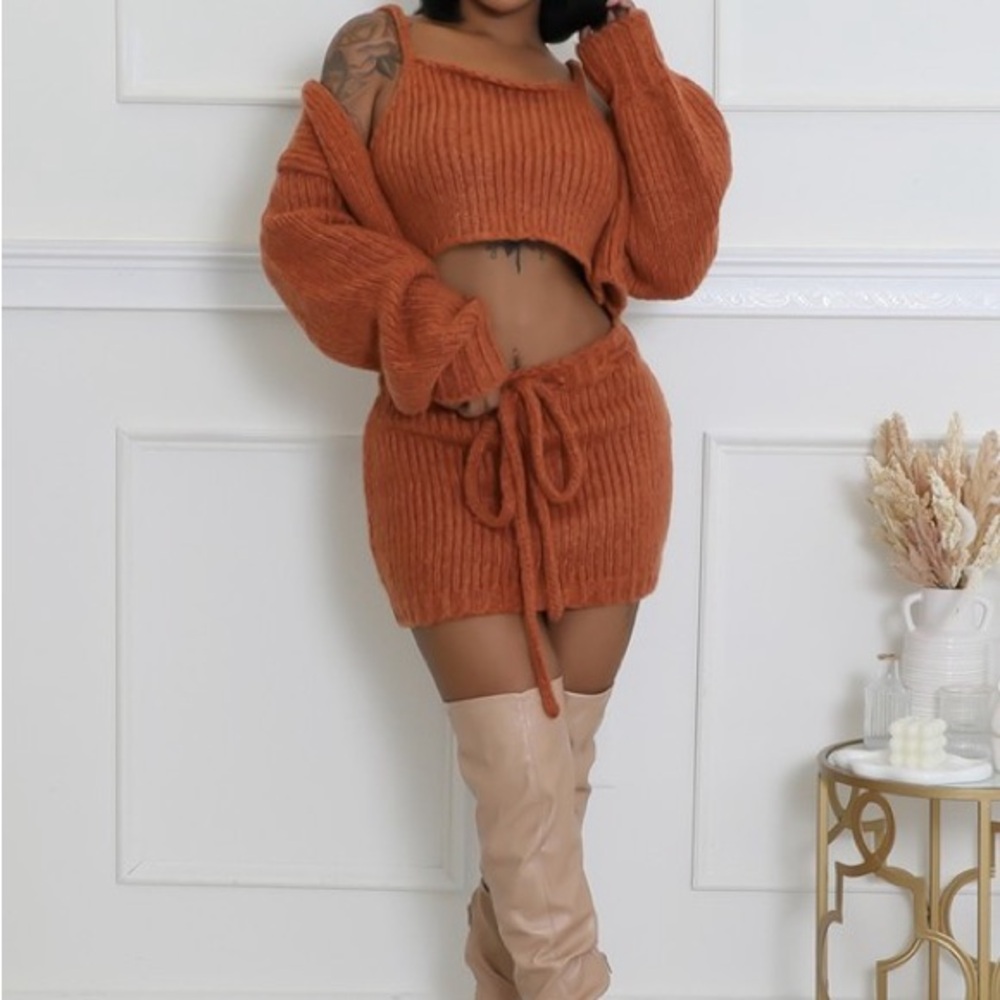 3-Piece Rust Knit Cropped Sweater and Skirt Set